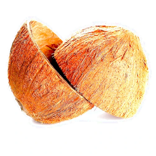 KC Creations Two Coconut Shell Halves KC Creations