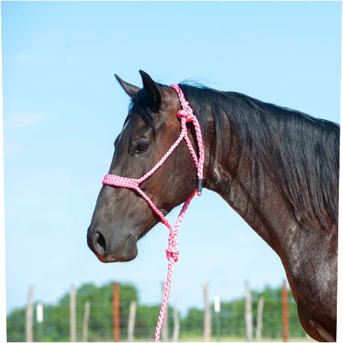 Cashel Company Flat Braid Halter w/9ft Lead