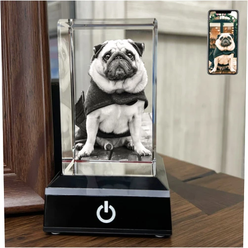 PD 3DPIXDANCE 3D Crystal Photo, Personalized Dog, Cat Memorial Gifts for Pet Owners. Gift Box Included, Customized Laser Etched Crystal Photo (Small Portrait)