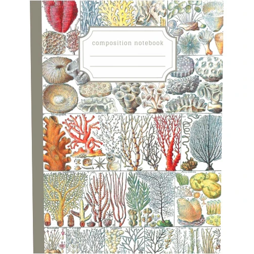 The Irregular Biologist,The Stationery Scientist Vintage Ocean Coral Composition Notebook: Stationery gift for nature lovers, students marine biologists and divers
