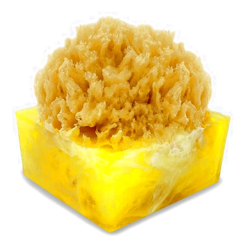 Primal Elements Tahitian Vanilla SpongeBar Soap (Pack of 2)