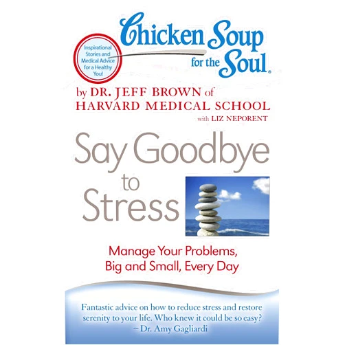 Dr. Jeff Brown,Liz Neporent Chicken Soup for the Soul: Say Goodbye to Stress: Manage Your Problems, Big and Small, Every Day