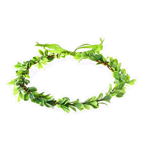 Accesyes Elegant Berry Leaf Headband BOHO Crown Festival Wedding Beach Halo Exquisite Hair Wreath (Green)