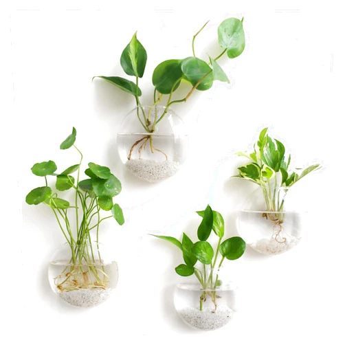 Mkono Wall Hanging Planter Propagation Station Glass Flower Vase for Hydroponics Plants, Bathroom, Home Office Living Room Decor Gift, Oblate Set of 4