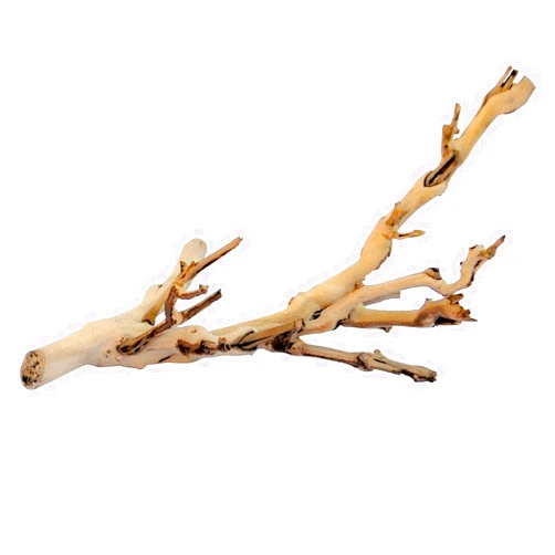 Exo Terra Forest Branch, Small