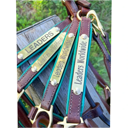 Custom Leaders Leather Horse Halters Brown Leather with Hunter Green Leather Piping Trim and Customized Engraved Name Plate