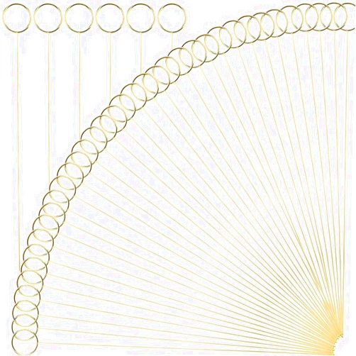 H&W 12''L Golden Ring Loop Round Shape Card Holders 40PCS Floral Picks Clips for Wedding & Flower Arrangements, DIY Craft Wire Clip Table Card Holders Note Photo Picture Memo Holder Cake Topper (Ring)