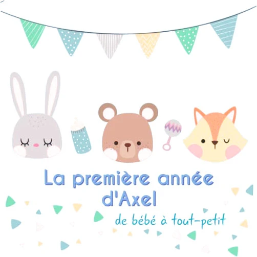 BabyMemories FR Publishing La première année d'Axel - de bébé à tout-petit: Album bébé à remplir pour la première année de vie - Album naissance garçon (French Edition)