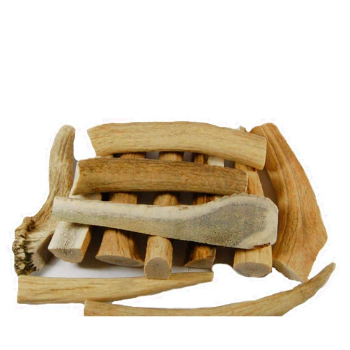 Big Dog Antler Chews Grade B Deer and Elk Antler Pieces - Dog Chews - Antlers by The Pound, One Pound - Six Inches or Longer - Natural Healthy Long-Lasting Treat