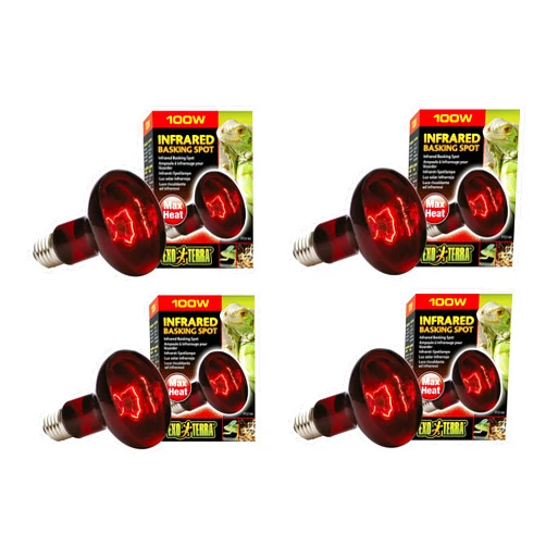 Exo Terra Heat-Glo Infrared Spot Lamp, 100-Watt/120-Volt (4 Pack)