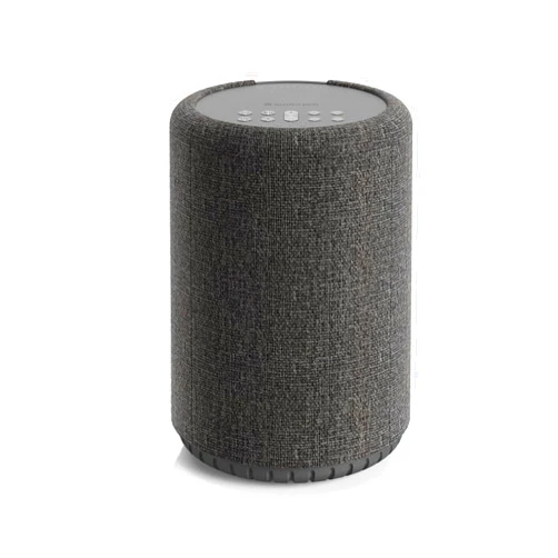 Audio Pro A10 MKII Wireless Multiroom Speaker, WiiM Edition | Wall Mountable, High Fidelity, Bluetooth, WiFi | Compatible with AirPlay 2, Google Cast, Siri, WiiM Home App, Stream Spotify,Tidal & More