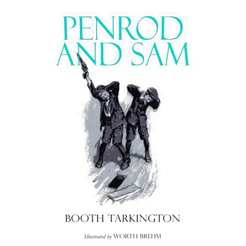 Booth Tarkington,Worth Brehm Penrod and Sam: Illustrated