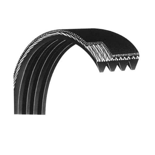 Hydra Fitness Exchange Jason Flexonic Motor Belt 23