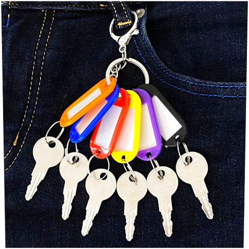 Badogrio 0G66240 Replacement Key Compatible with Generac Generator Lock Includes Keychain & Tag(6 Pack)