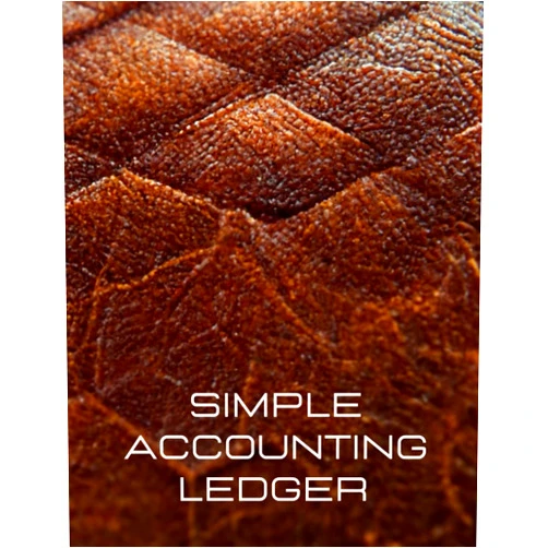 Chudy Design Promotion Simple accounting ledger | Accounting notes and bookkeeping notebook | 100 pages | 8,5’’ x 11’’