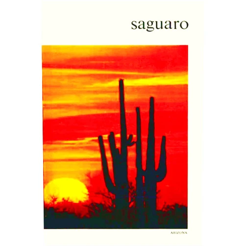 U.S. Department of the Interior National Park Service Saguaro: National Monument