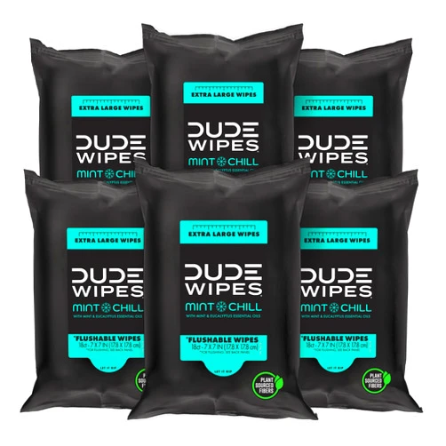 DUDE Wipes - Flushable Wipes Travel Pack - 6 Pack, 108 Wipes - Mint Chill Extra-Large Adult Wet Wipes - Vitamin-E, Aloe Vera, Eucalyptus, and Tea Tree Oils - Septic and Sewer Safe Butt Wipes