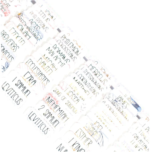 Idyllic Grace - Graceful - Bible Tabs - Gold Foil Lettering - Bible Journaling - Study - Old and New Testament - Christian - Catholic - Apocrypha - Index Tabs - 90 Books - Glossy Laminated - Durable