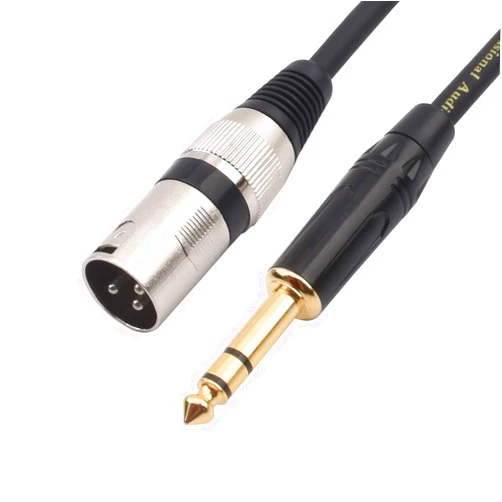 Disino 1/4 Inch TRS to XLR Male Balanced Signal Interconnect Cable Quarter inch to XLR Patch Cable - 3.3 Feet