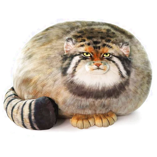 XIAOHONG Chubby Steppe Cat Pillow,18'' Pallas Cat Plush Pillow, Cute Steppe Cat Stuffed Animals Soft Plushies, Kitten Plush Throw Pillow Doll Big Plush Toys Gift for Girls Boys Girlfriend