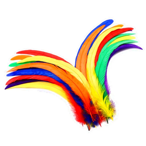 Holmgren Colorful Rooster Tail Feathers - 60pcs 12-14inch Natural Long Rooster Tail Feathers Bulk for DIY Crafts Hats Costume, Holiday themed party Decoration (Colorful)