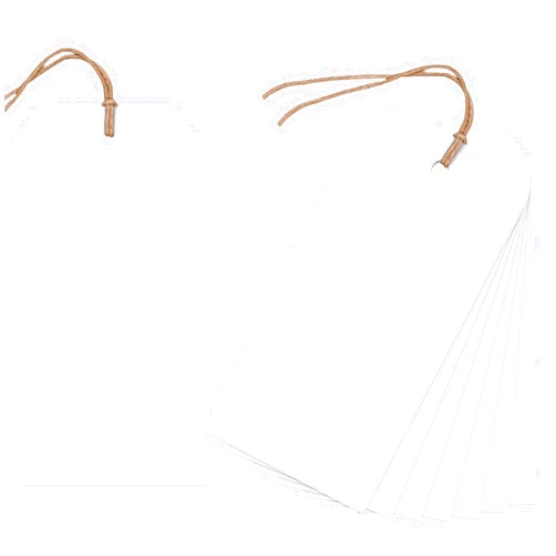 VGOODALL 120PCS Tags with String, Blank Shipping Tags, 4 3/4 x 2 3/8 inch Manila Tags with String, Inventory Tags, Price Tags
