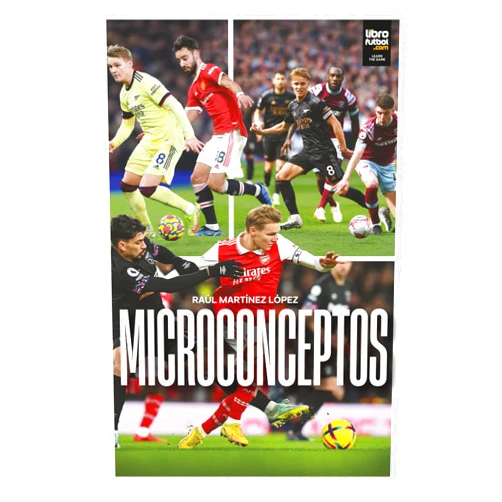 Raúl Martínez López MICROCONCEPTOS (Spanish Edition)