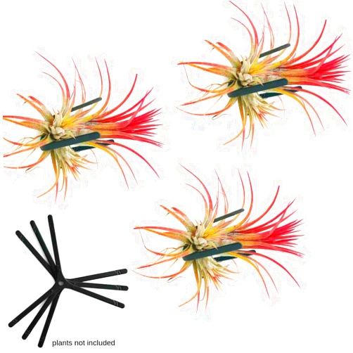 ArtAK Wall Planter 3 Sets Wall Air Plant Holder Wall Terrarium Orchid Mount AirPlant Holder Air Plant Containers Hanging Orchid Planter Wall Mounted Plant Hook B3