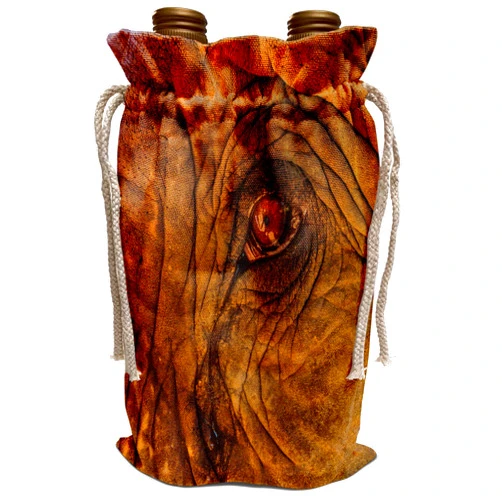 3dRose Wine Bag - Myanmar. Shan State. Green Hill Valley. Old logging elephant Elephants