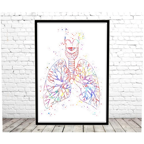 Custom Poster Of Lungs, lungs anatomy, medical art, watercolor lungs, lungs print, abstract lungs, Medical Office Decor, watercolor lungs anatomy,86