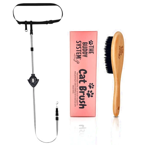 The Buddy System Hands Free Dog Leash Adjustable Leash (Small Dog, Large Belt), and Cat Brush with Boar Bristle and Wooden Handle