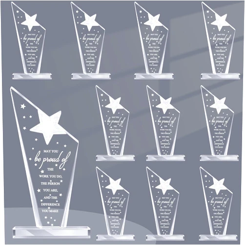 Bucherry 10 Pcs Employee Appreciation Awards for Coworker Acrylic Thank You Trophy May You Be Proud of The Work You Do Sign Prizes Retirement Goodbye Farewell Gift for Women Men(Stylish)