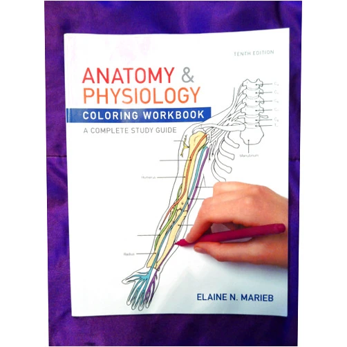 Elaine N. Marieb Anatomy & Physiology Coloring Workbook: A Complete Study Guide