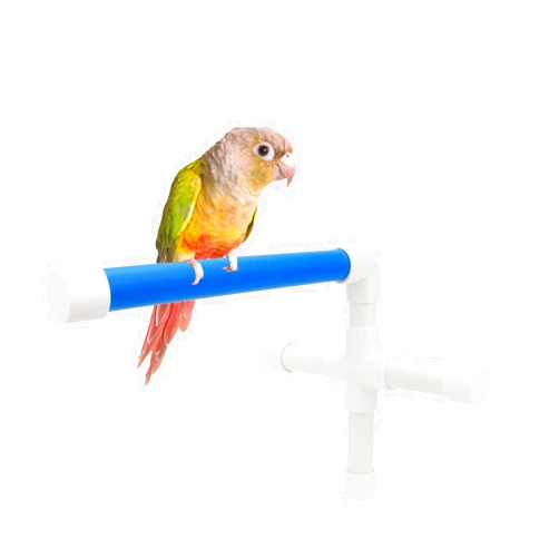 Hypeety Bird Parrot Stand Perch Shower Perch Standing Toy Portable Suction Cup Parrot Bath Stands Suppllies Holder Platform Parakeet Window Wall Hanging Play (3 Suction Cups1)