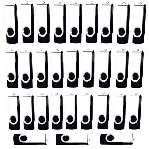 Lcwamy 4GB Flash Drives 50 Pack USB2.0 4GB Flash Drive Bulk Pack Wholesale 4GB USB Flash Drive 50 Pack Thumb Drives 4GB USB Drive Memory Stick lcwamy USB (Black, No Logo)