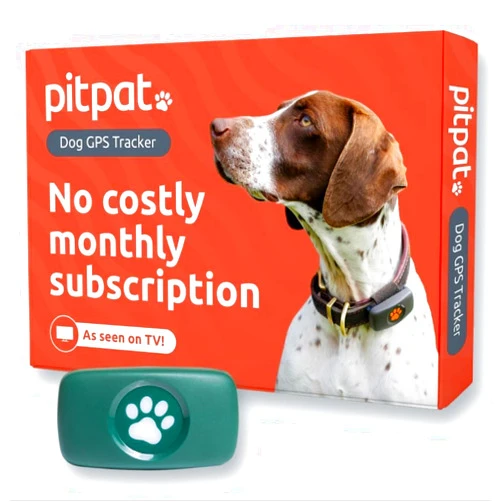 PitPat GPS Tracker for Dogs - No Subscription Fees - Suitable for All Dogs and Fits All Collars - Smart Activity Tracker, Satellite Tracking with Unlimited Range - 100% Waterproof Pet Tracker (Green)