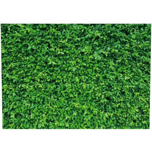 Msocio 7x5.5ft Polyester Spring Greenery Leaves Grass Nature Photography Backdrop Green Grass Background for Birthday Wedding Safari Dinosaur Baby Shower Party Decorations Banner Portrait Photo Booth