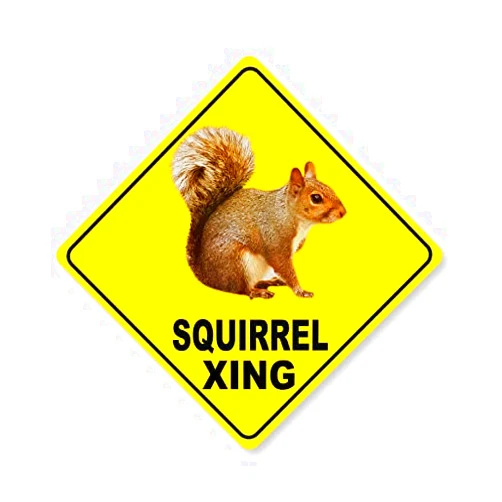 PEreming Squirrel Xing Funny Crossing Sign Quality Metal Sign Tin Sign 12x12 Inch