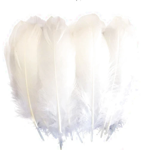 Sowder Natural Goose Feathers Clothing Accessories Pack of 50