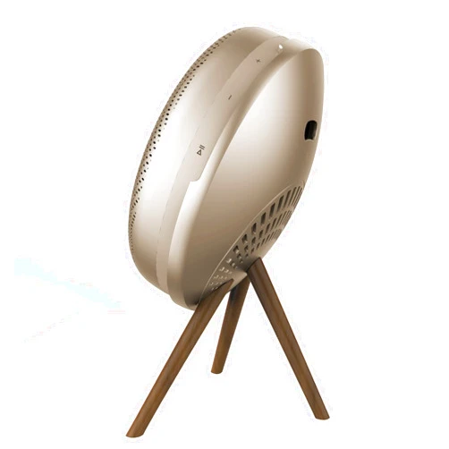 Fenduoer Stand for Bang & Olufsen Beoplay A1 2nd Gen/Beosound A1 Wireless Bluetooth Speaker, Desktop Kickstand Holder(Gold)