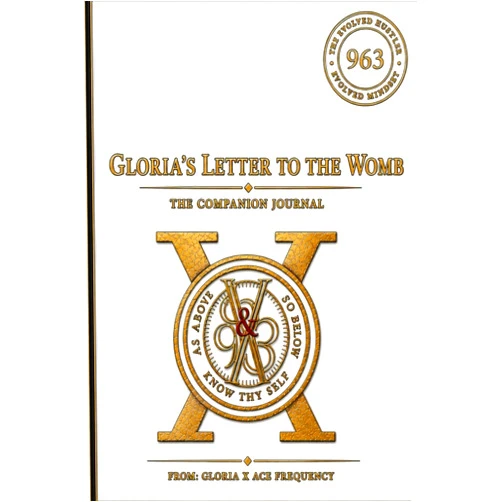Elhadj-Amirou B Sow,Ace frequency,Gloria X Gloria's Letter to the Womb: My Companion Journal