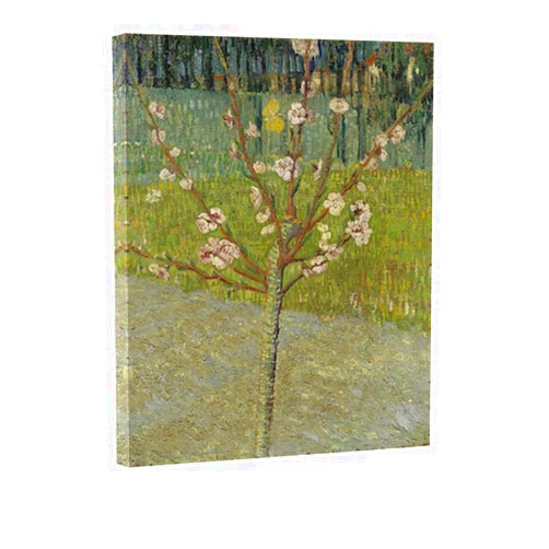 Wieco Art Almond Tree in Blossom by Van Gogh Famous Oil Paintings Reproduction Classic Canvas Prints Wall Art Abstract Flowers Pictures for Home Decor Modern Stretched and Framed Landscape Artwork