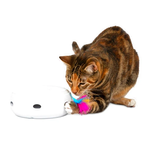 PetFusion Ambush Interactive Cat Toys for Indoor/Outdoor Activity - New & Improved Cat Feather Toys Replacement Feathers Available 12 Month Warranty
