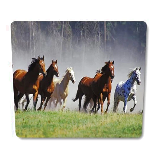 Wknoon American Quarter Horse Prairie Animal Mouse Pad Cute Mat, Galloping Horses Herd Ranch Animal Mouse Pads