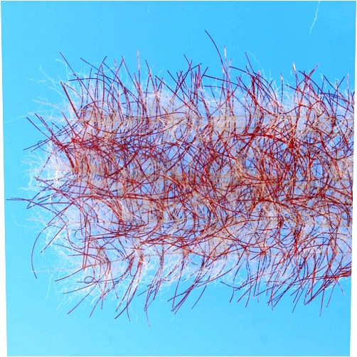 Enrico Puglisi Tarantula Hairy Legs Brush 1