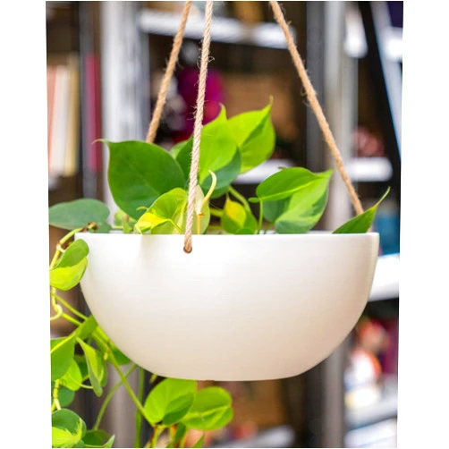 PlantVine Viento Hanging Planter 12-inch, White, Indoor/Outdoor