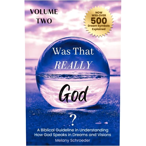 By Melany Schroeder (Author) Was That Really God?: A Biblical Guideline in Understanding How God Speaks in Dreams and Visions