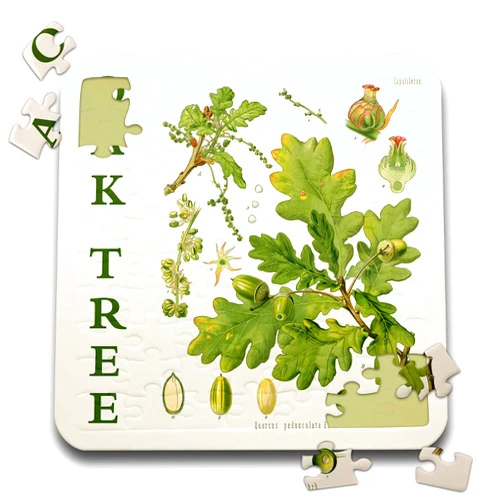 3dRose Oak Tree Parts Vintage Nature Art - Woods Forest Woodland Theme... - Puzzles (pzl-365438-2)