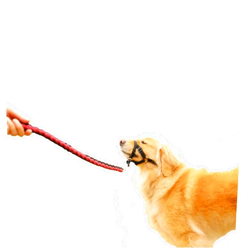 Petbetf Dog Leash Collar Training,No Pull Dog Harness,Redirecting Your Dog's Walking Behaviour in Response to Dog Disobedience-Getting Your Dog to Walk