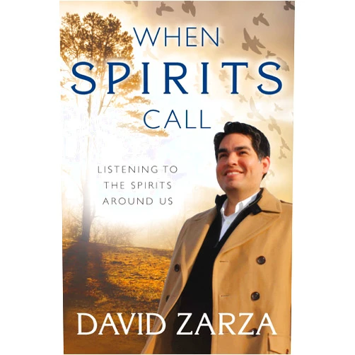 David Zarza When Spirits Call